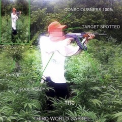 hi-c - rockstar (no cartiergod)