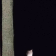 REMEDY (PROD. SHISUI)