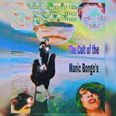 The Fall Of The Kurger Bing Wizard King