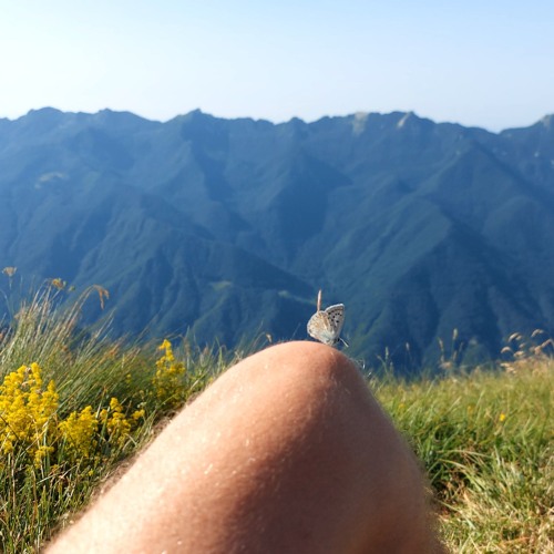 Stream Matsutake Citizen Sleeper OST by erret1cvs Listen online for