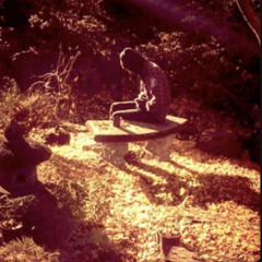 Garden For The Thieves