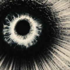 void