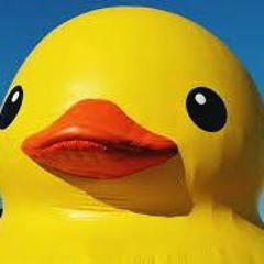 BONUS DUCKS