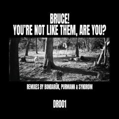 PREMIERE: Bruce! - Oh, If I Knew [DR001]