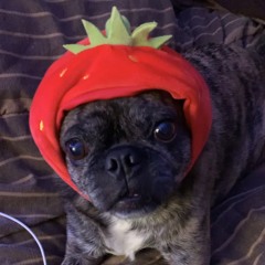 Debo My Dog (feat. Debo)