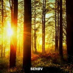 SENØV - Early In The Mørning