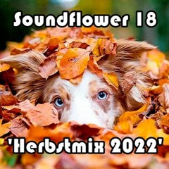 Soundflower 18 'Herbstmix 2022'