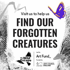 Find Our Forgotten Creatures | The Wild Escape