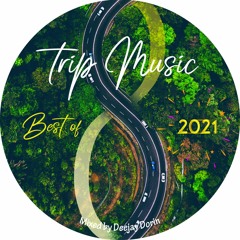 Trip Music #8 - Best Of 2021 House Music (Mixed By Dorin)