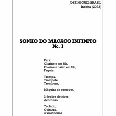 Sonho Do Macaco Infinito No.1