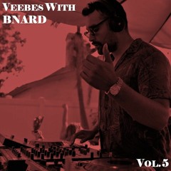 VEEBES WITH BNARD - VOL.5
