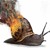 Artwork for Burning Snail at Mich 2021