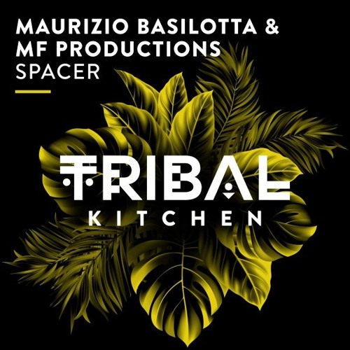 Maurizio Basilotta, MF Productions - Spacer (Original Mix)