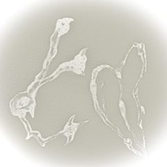 five string serenade