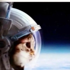 scratch peenar (ninth cycle)