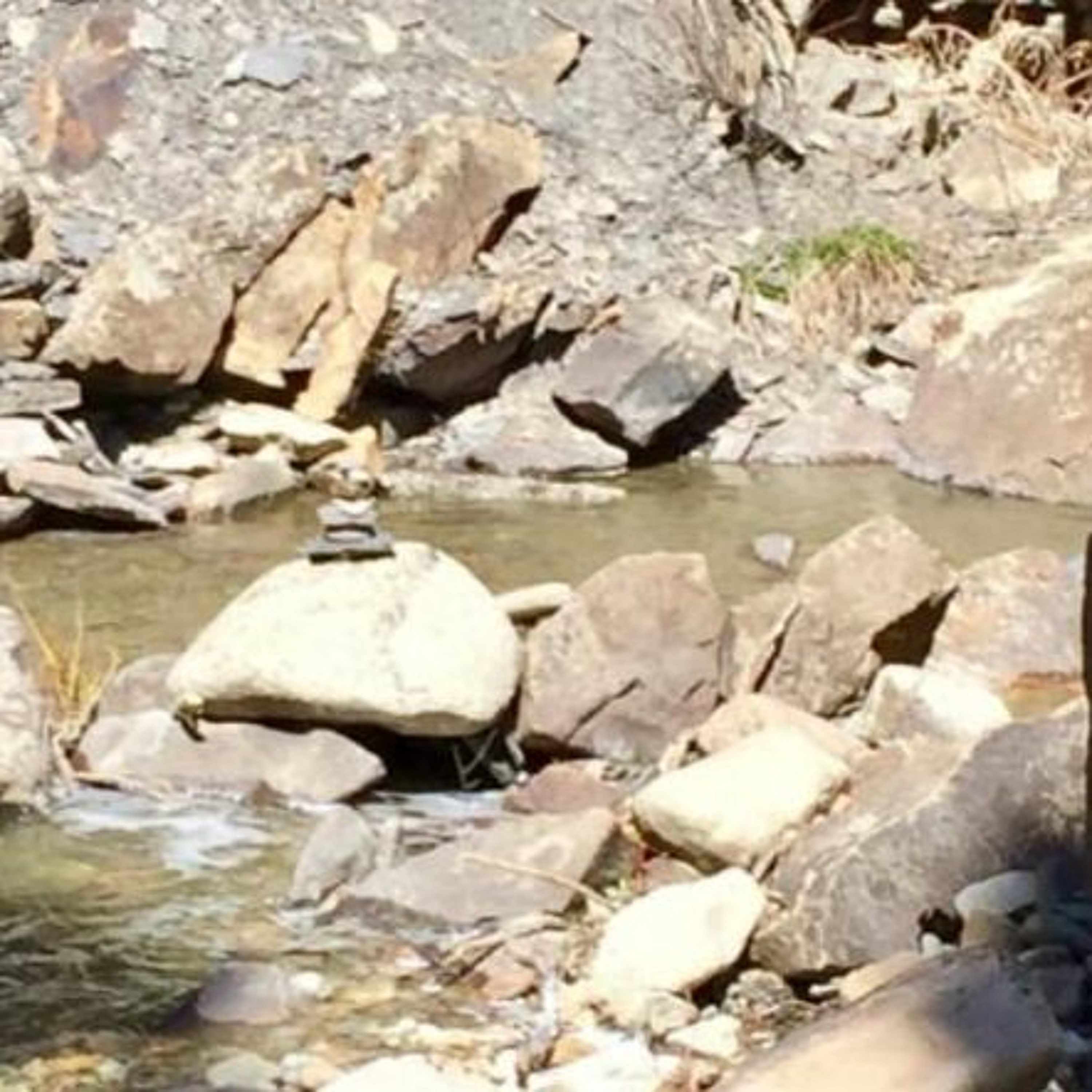 Trail of the Week