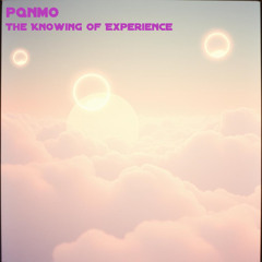 The Knowing of Experience