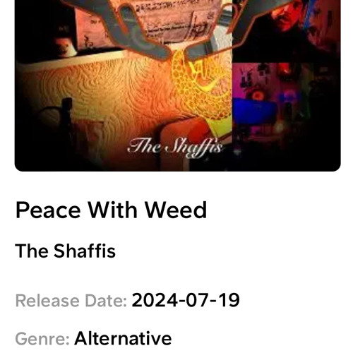 Alchemy at Chill Mauro Study