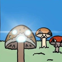 mushroom mix