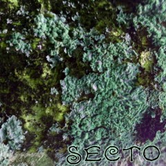 Secto - Tales On Purpose