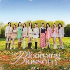 ฤดูของเรา (Blooming Blossom)