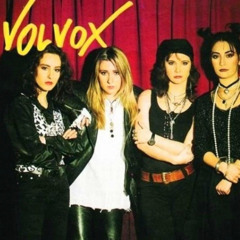 VOLVOX - The Best (1994)