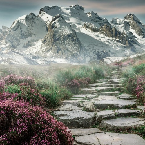 On The Trail