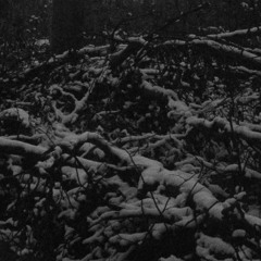black metal demo