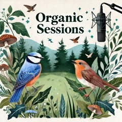 Monojoke - Organic Sessions #9