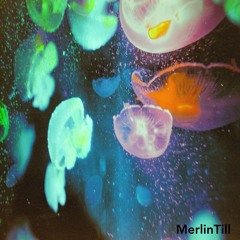 There Is No Better Life