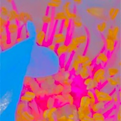 Lush Life Drifter - Ambient Mix - July 2022