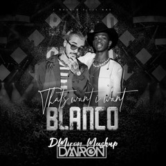 Lil Nas x J Balvin - Thats Want i Want x Blanco (DMiron Mashup) (Copyright Filter) Read Description