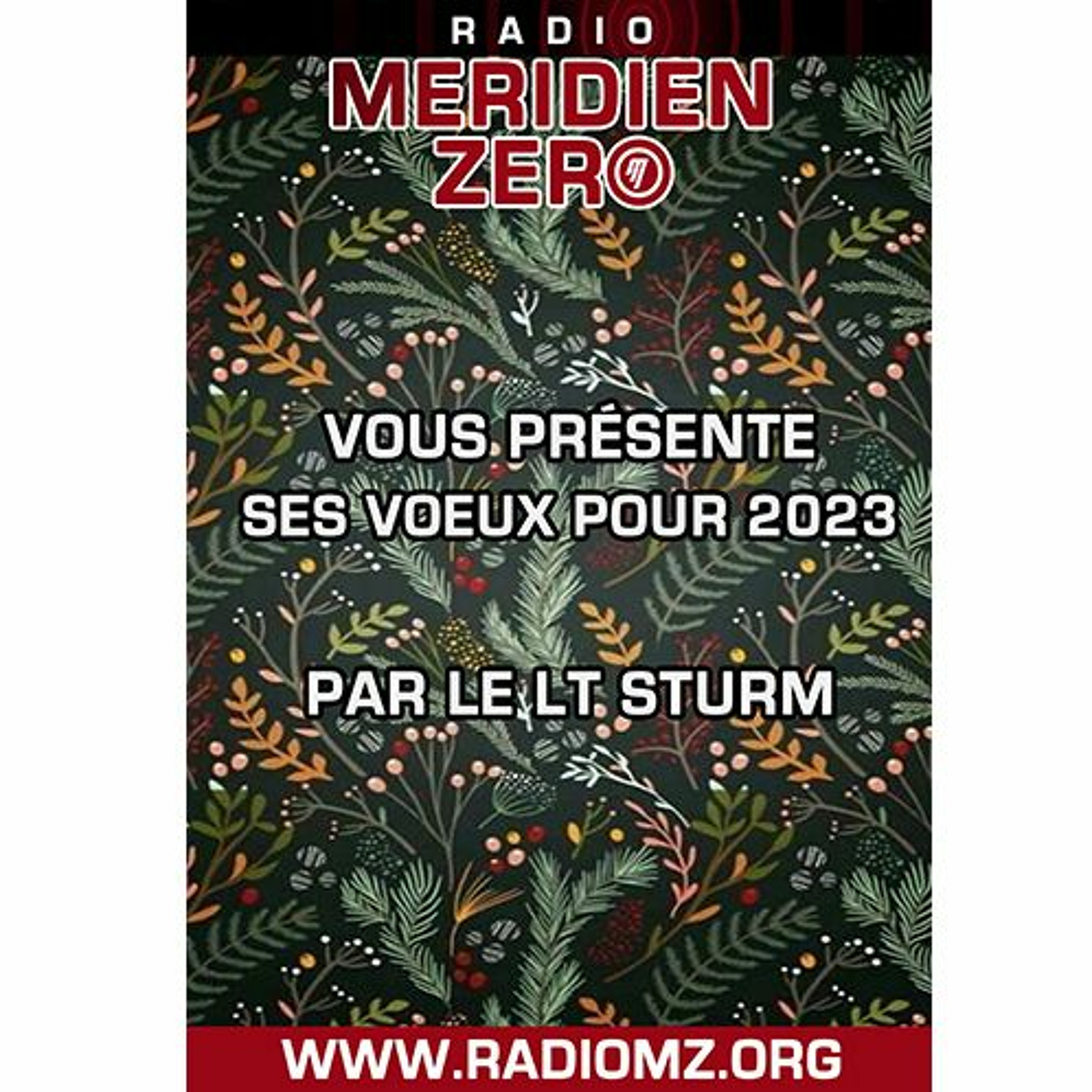 Flux RSS MZ