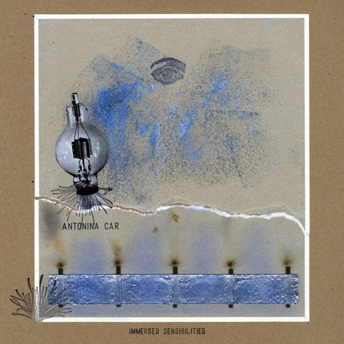 Antonina Car, Immersed Sensibilities, "Fluttery Critters"