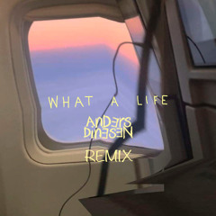 Scarlet Pleasure - What A Life (Anders Dinesen Remix)