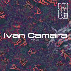 Radio Danziger Vol. 23 by Ivan Camara