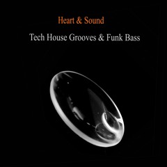 Tech House Grooves & Funk Bass