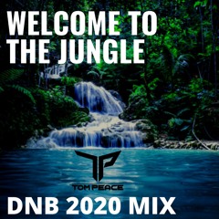 Welcome To The Jungle DnB Mix2020