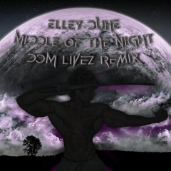 ELLEY DUHE - MIDDLE OF THE NIGHT (DOM LIVEZ REMIX)