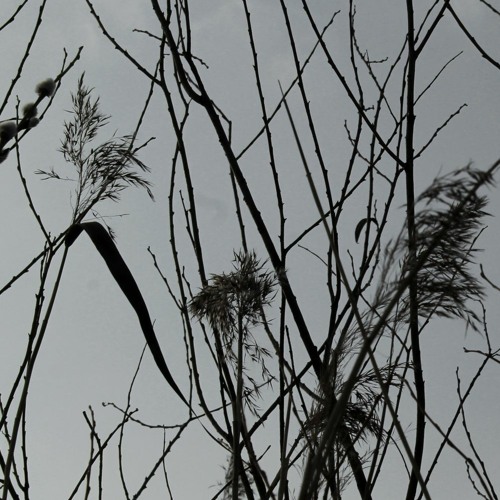 Stream Broken Symbols [Alchemical Dubstraction] - [Free Download] by