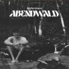 Nilpferdmann - Abendwald (DJ Liveset)