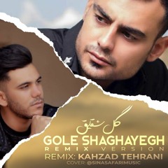 roholah karami x payam abasi - gole shaghayegh remix