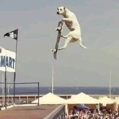 & junjo & Bárbara & manhattan &