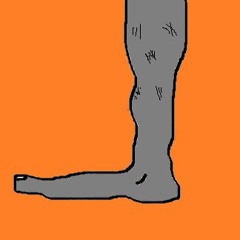 Foot