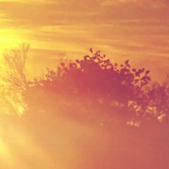 A. G. COOK - SILVER (ACADEMY GARDEN COVER)