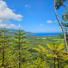 Zion Radio - Kauai Edition