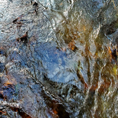 Noticing Change Meditation