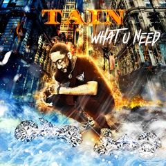 TAIN-What U Need