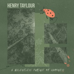 Nothing To See, Just The Sounds In The Trees