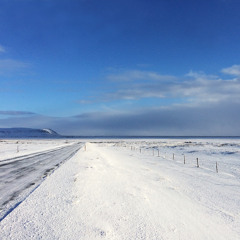 THE DOOR   ( the upcoming new Album)  "Dreaming of the Funk Master"